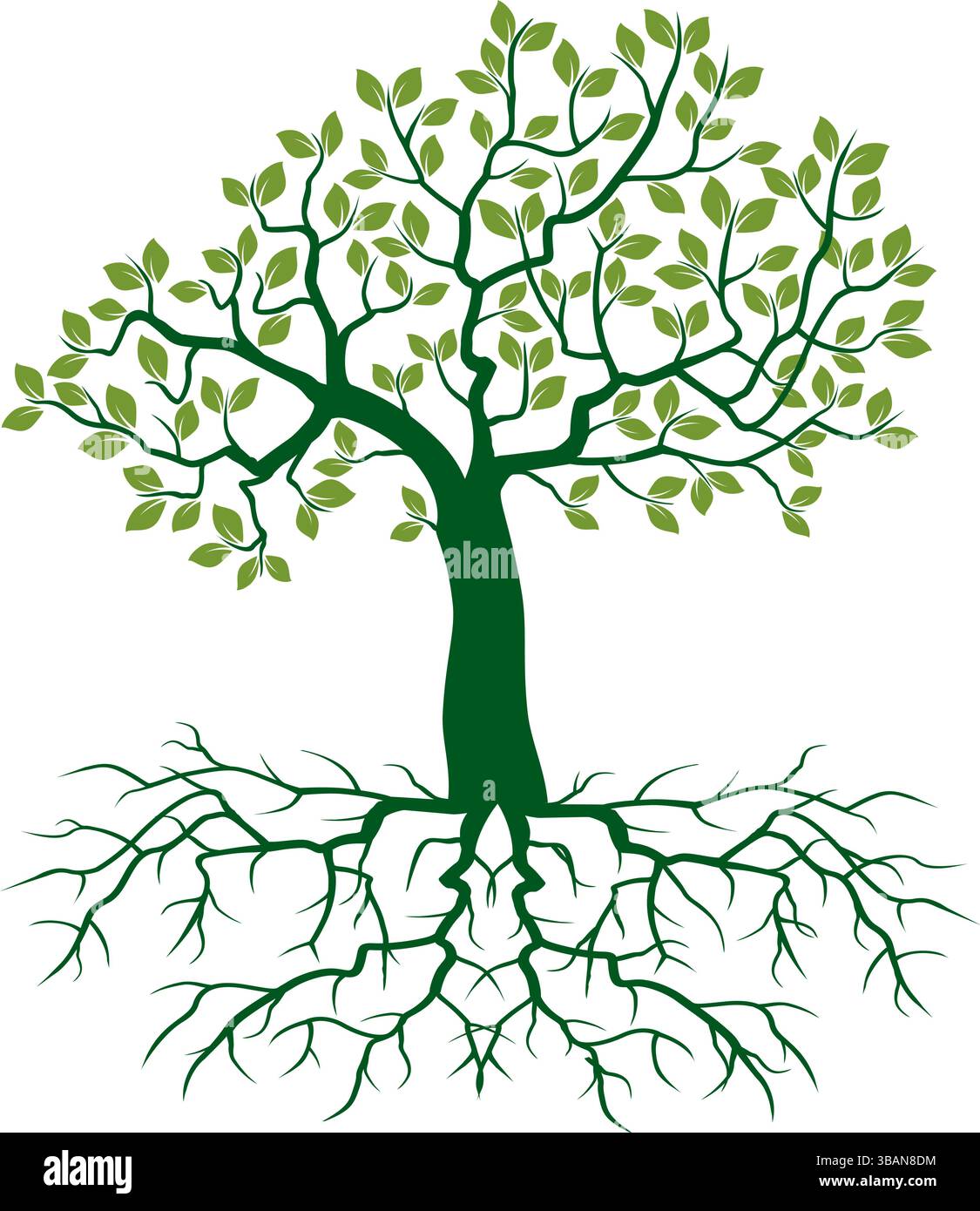 Shape of Spring Tree with green Leaves. Vector outline Illustration ...