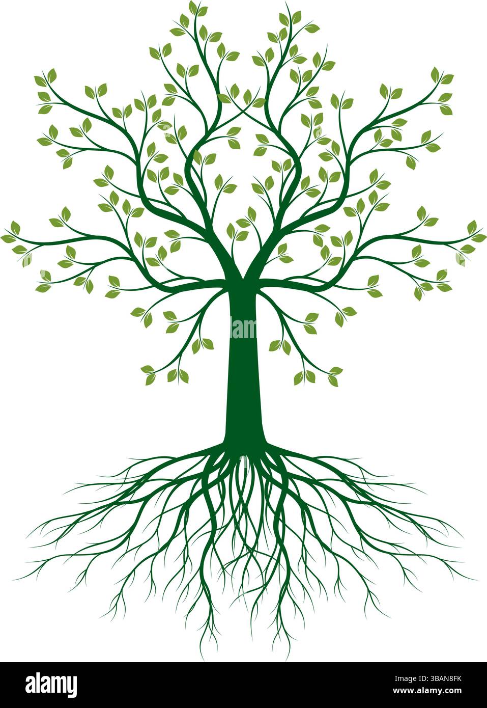 Shape of Spring Tree with green Leaves. Vector outline Illustration ...