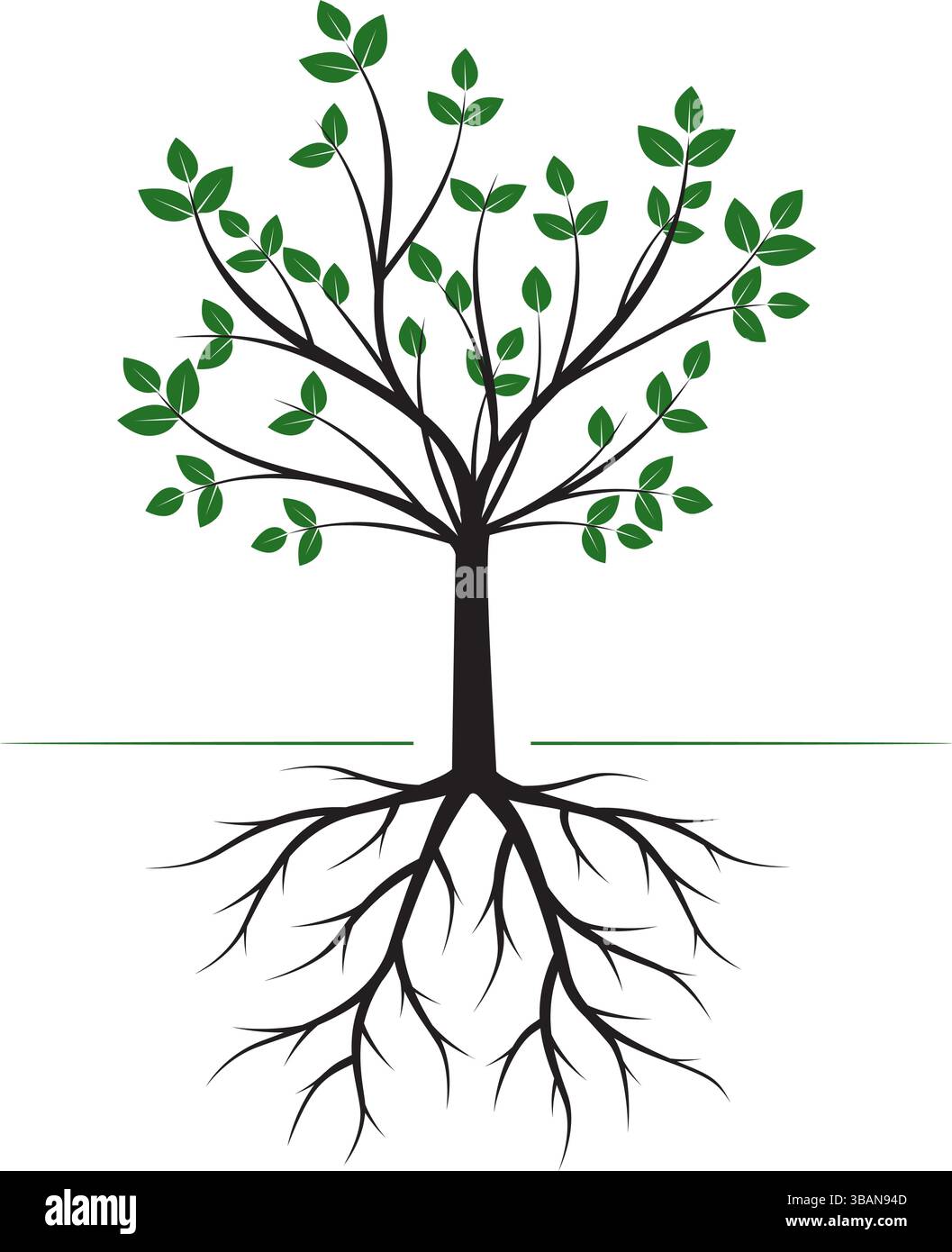Green vector Tree with Roots isolated. Outline illustration. Stock Vector
