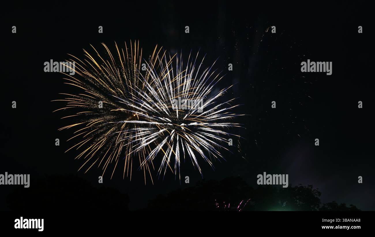 Explosive Beauty: Fireworks Lighting Up the Night Stock Photo