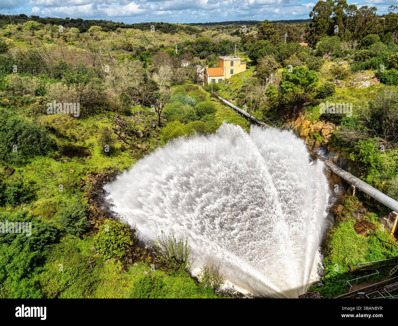 Hyolanda Fava, image size:1300x1065