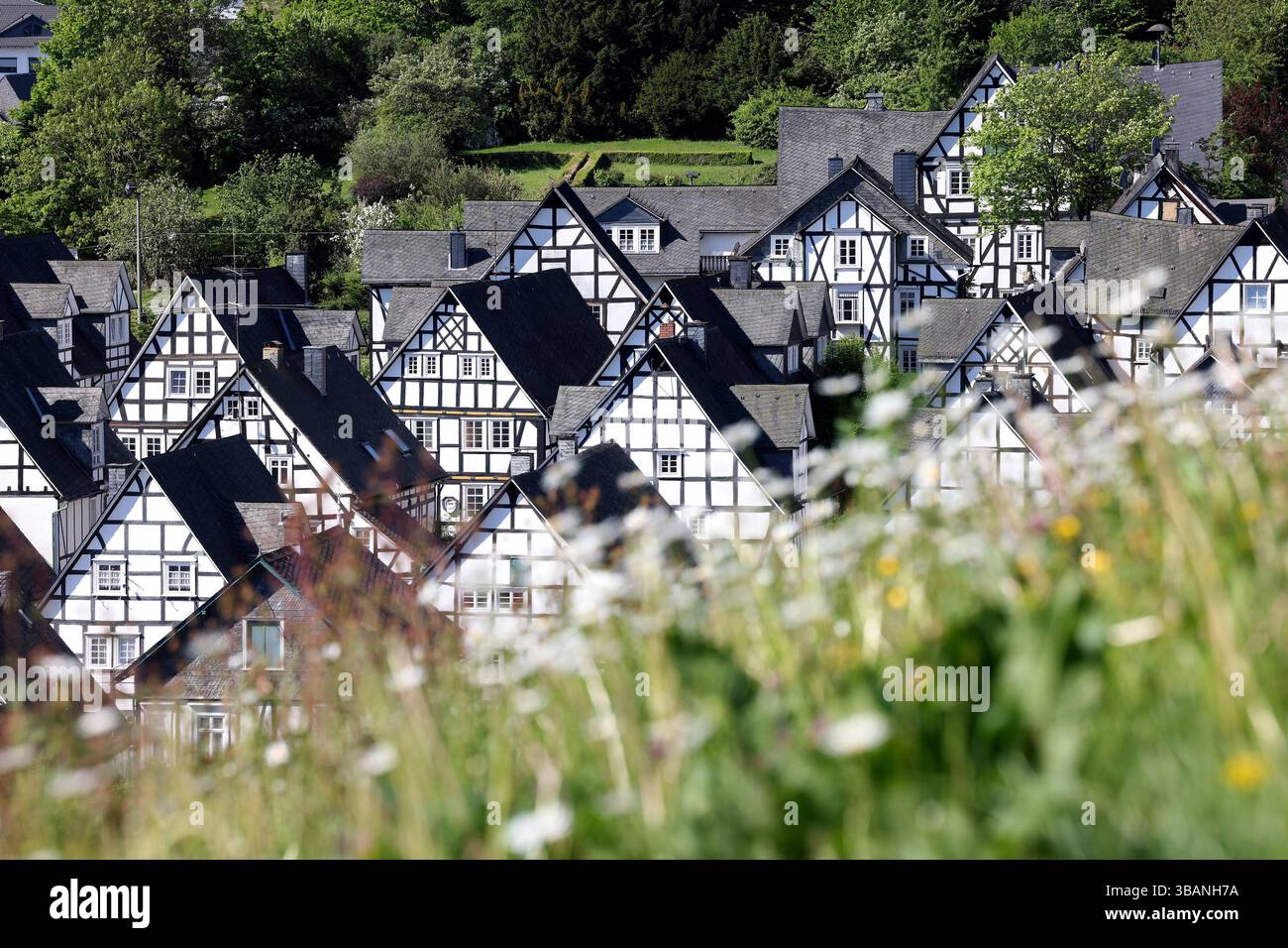 siegerland hotel haus im walde freudenberg