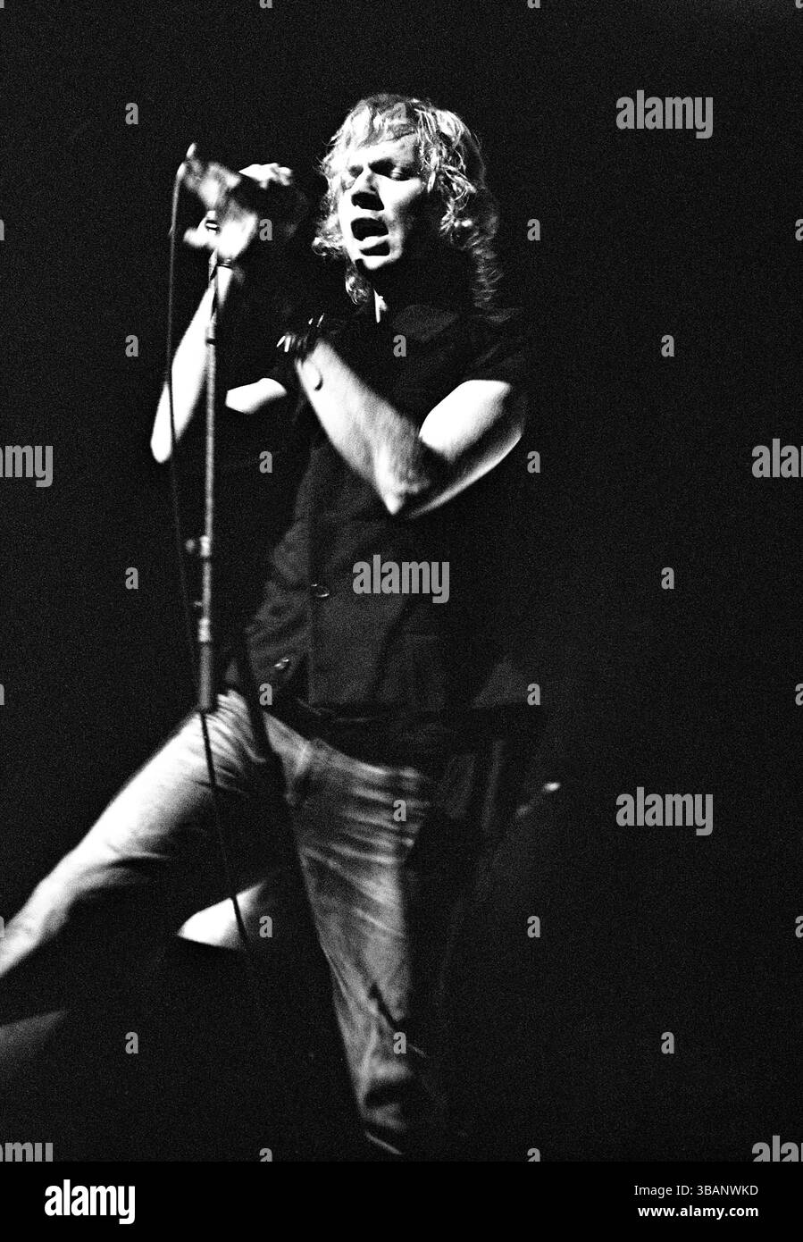 Beck david hansen hi-res stock photography and images - Alamy
