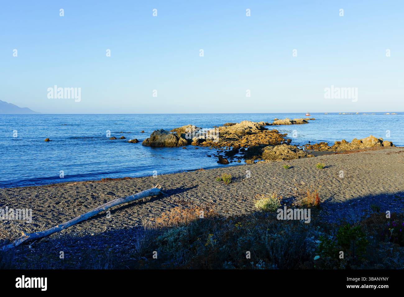 Evening on the grey gravel beach in Kaikoura, Nw Zealand, looking across the calm Pacific Ocean. Stock Photo