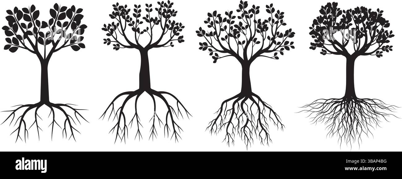 Set black Trees with leaves on white background Stock Vector