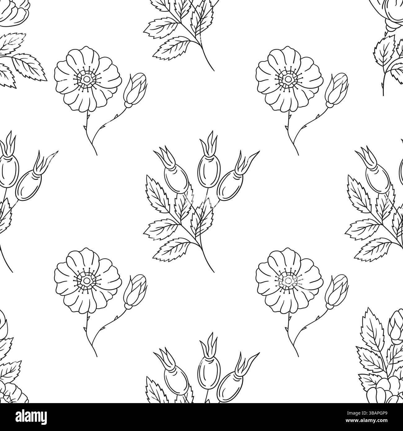 Monochrome floral pattern. Pattern for textile or kitchen in hand draw ...