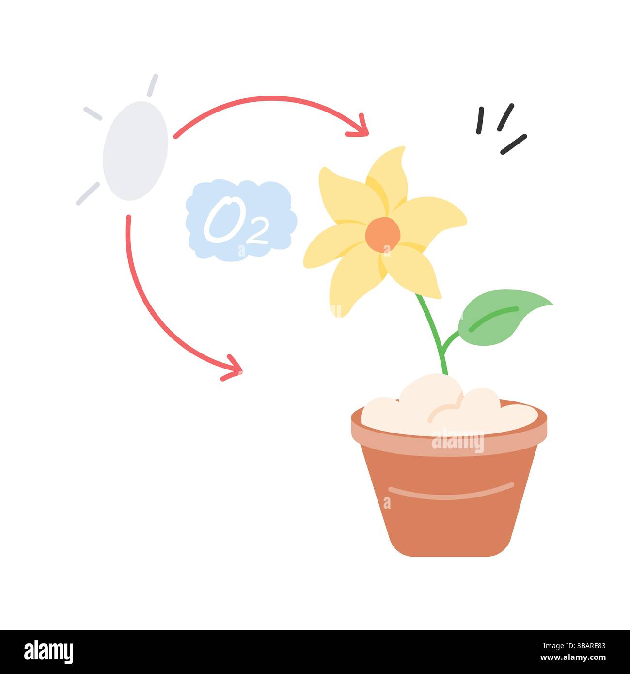 Co2 cycle oxygen cycle Stock Vector Images - Alamy