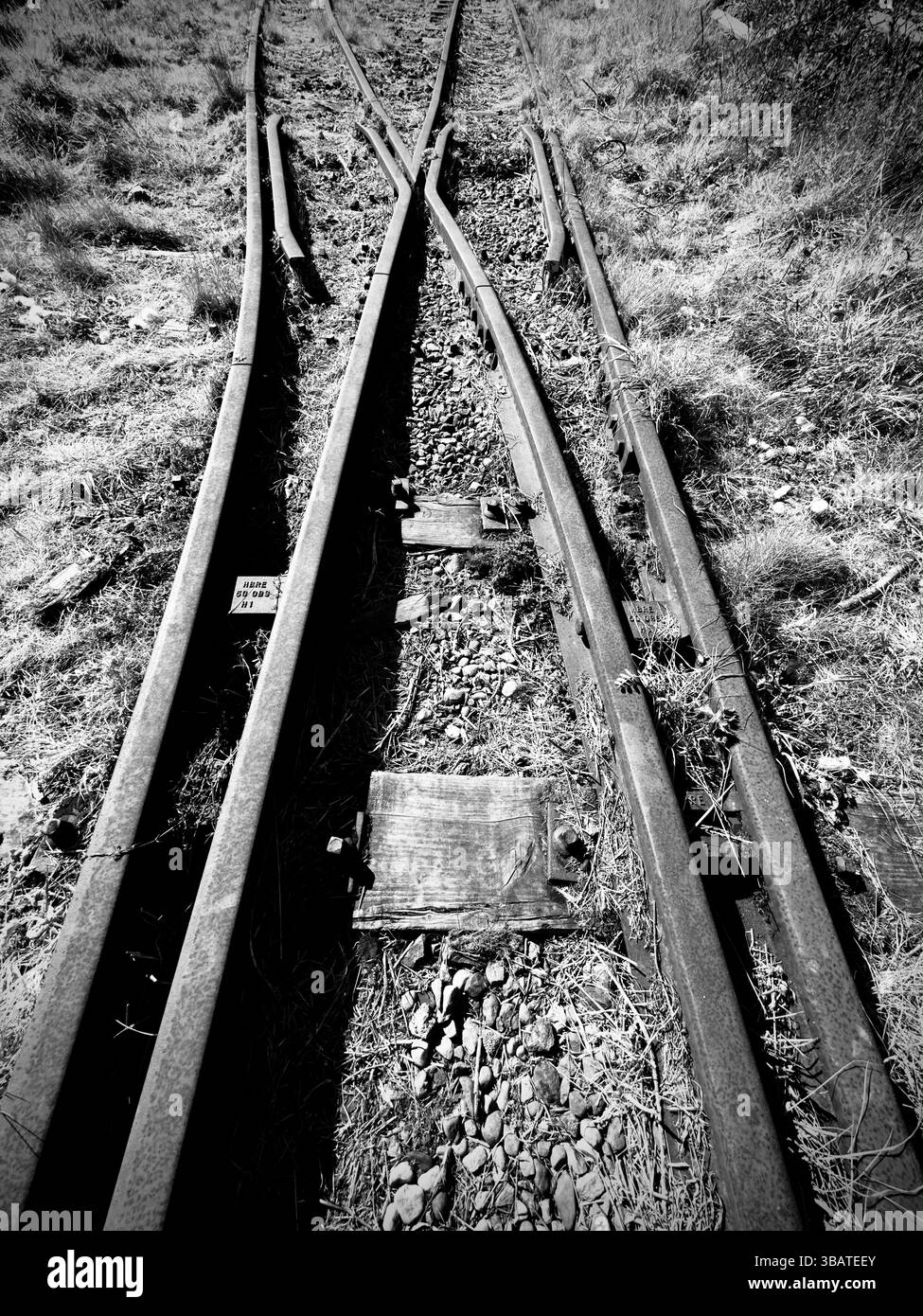 Artistic disused railway line - Smartphone Captured Stock Image