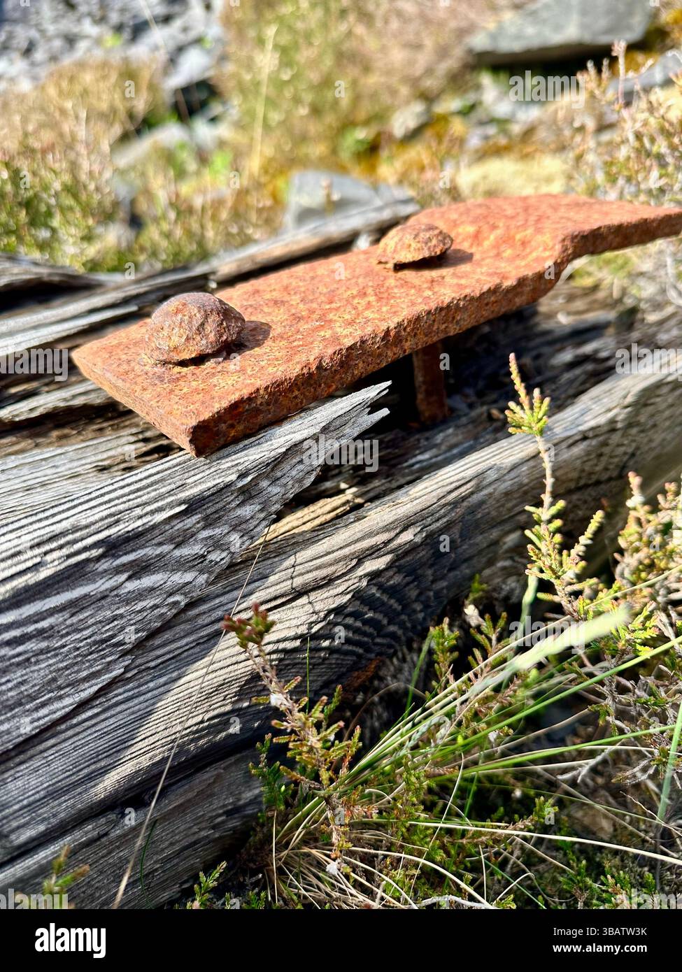 Close-up of rusted metal and grained wood from abandoned machinery at Dinorwic Quarry in Wales, with greenery growing. Industrial decay and nature. - Smartphone Captured Stock Image