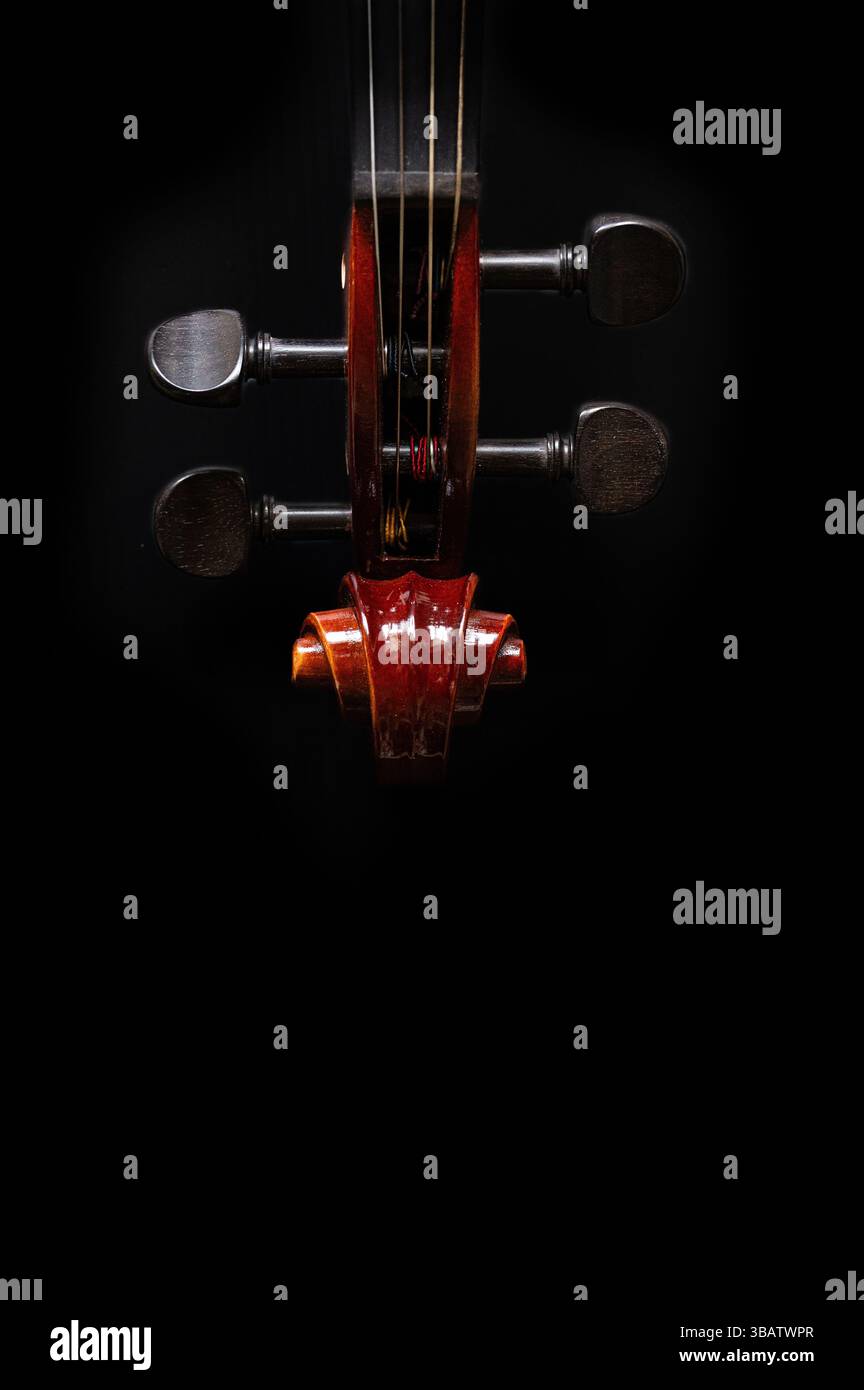Violin peg box and scroll on black background with copy space Stock Photo