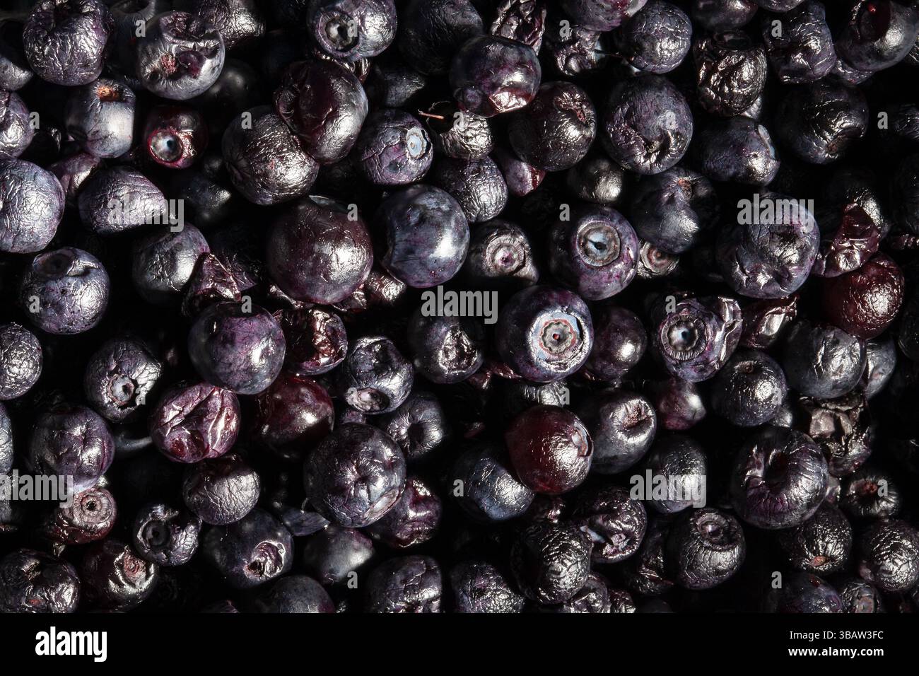 blackberry pattern background top view Stock Photo