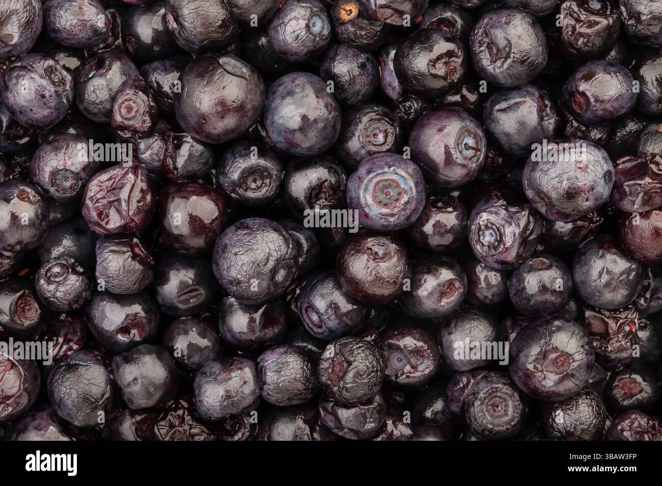 blackberry pattern background top view Stock Photo