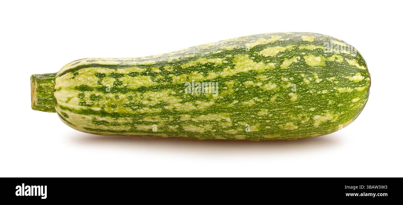 marrow zucchini path isolated on white Stock Photo