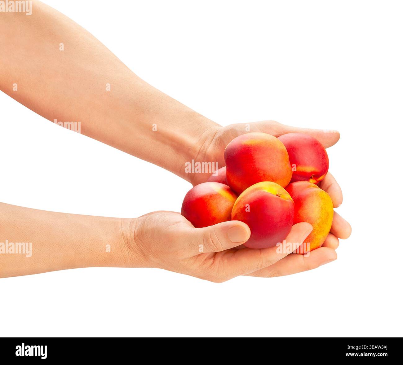 nectarine in hand path isolated on white Stock Photo
