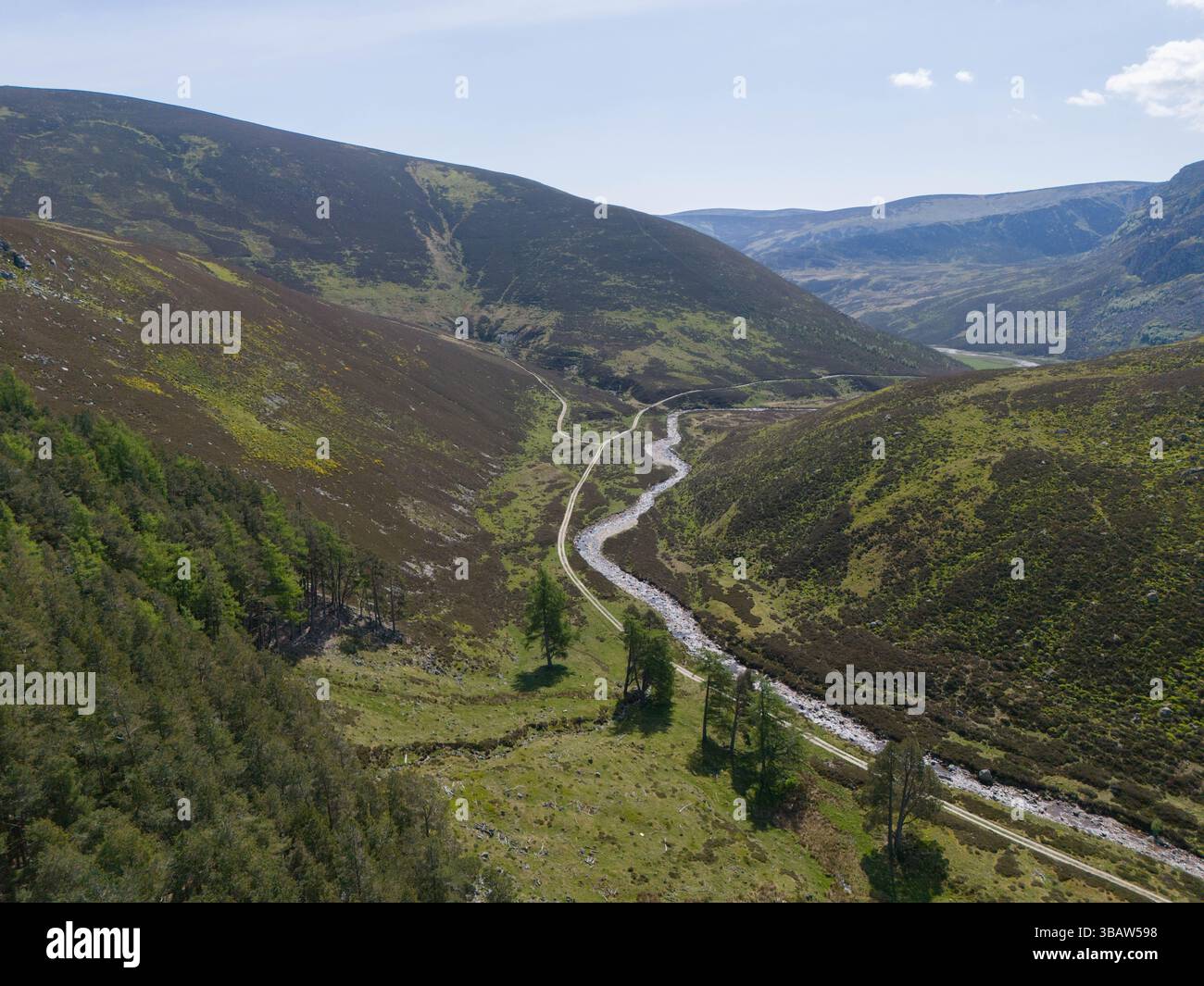 Glen Lee,  in Glen Esk Angus, Scotland UK Credit Paul Glendell Stock Photo