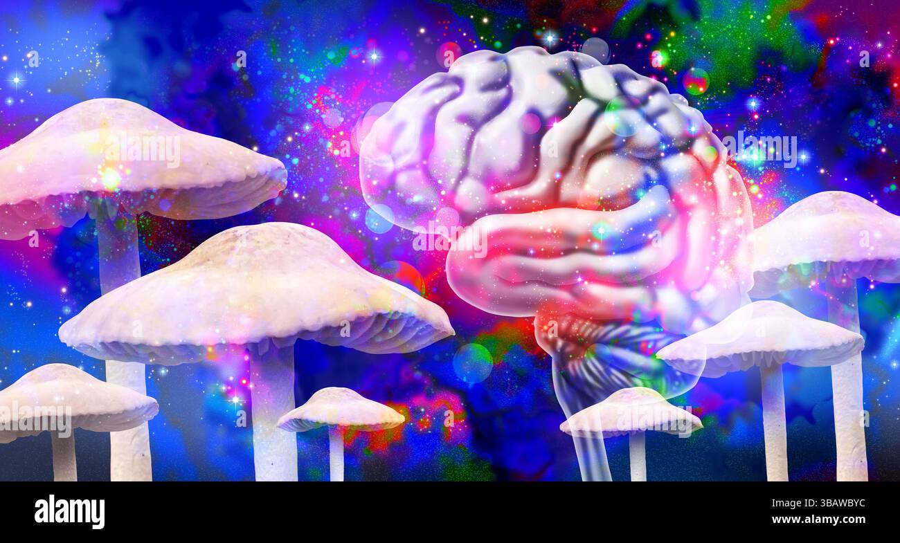 Gorgeous Human Brain Changes After First Psilocybin Use Capture Digital Art Gorgeous Human Brain Changes After First Psilocybin Use Capture Digital Art