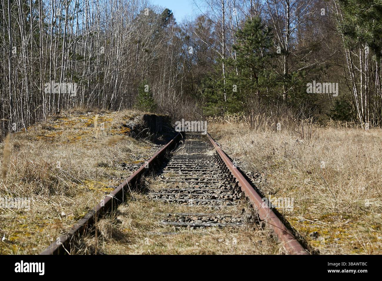 18.03.2025, Germany, Brandenburg, Fuerstenberg / Havel - Remains of railway tracks that led to the Siemens Ravensbrueck camp. The camp was part of the Stock Photo