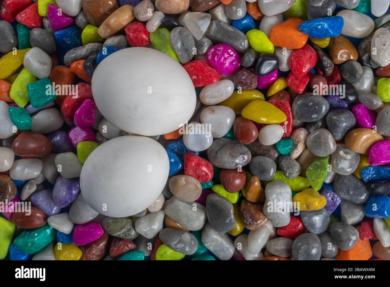A close-up of two soft white eggs placed on a bed of colorful, vibrant stones. perfect for artistic, decorative or conceptual themes. Stock Photo