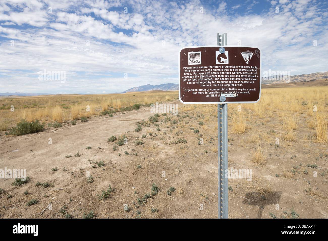 Wild Ruls Image Posted BLM rules for Onaqui wild horse herd management area Stock Photo ...