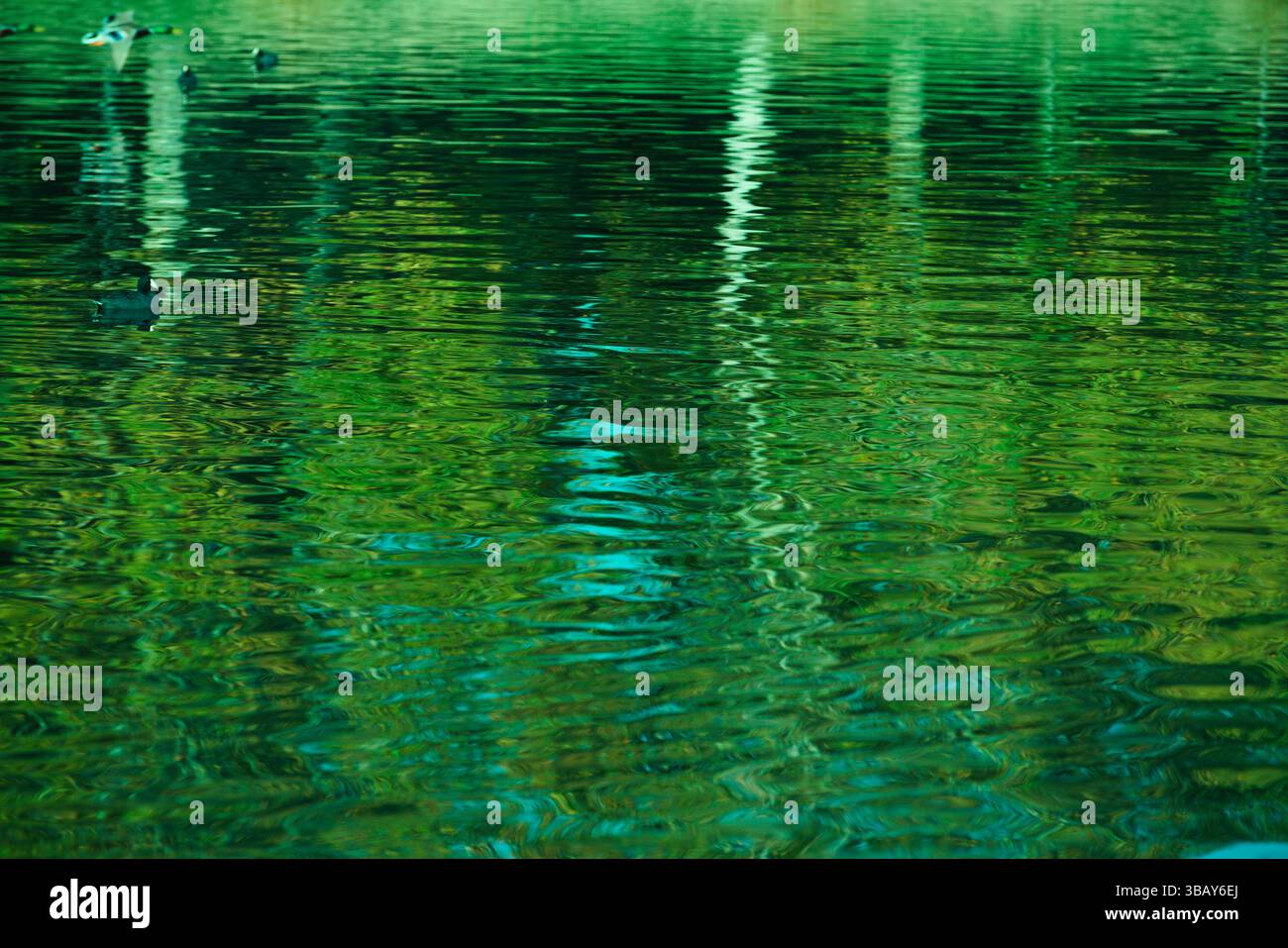 Rippling waters hi-res stock photography and images - Alamy