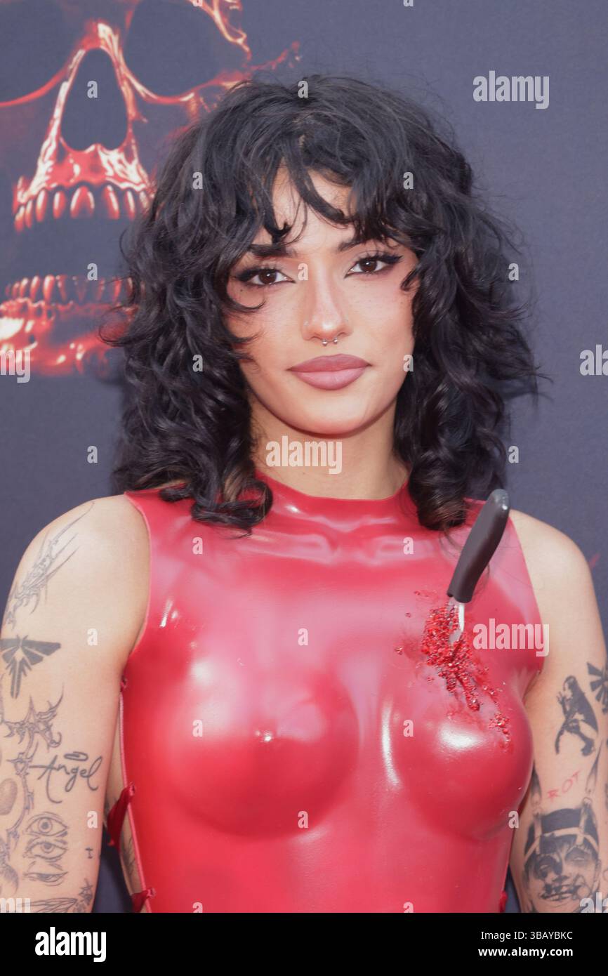 Los Angeles, USA. 13th May, 2025. Noor Dabash attends the world