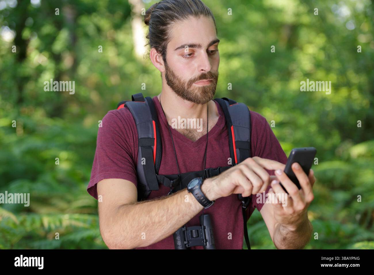 male hiker using mobile phone in forest Stock Photo
