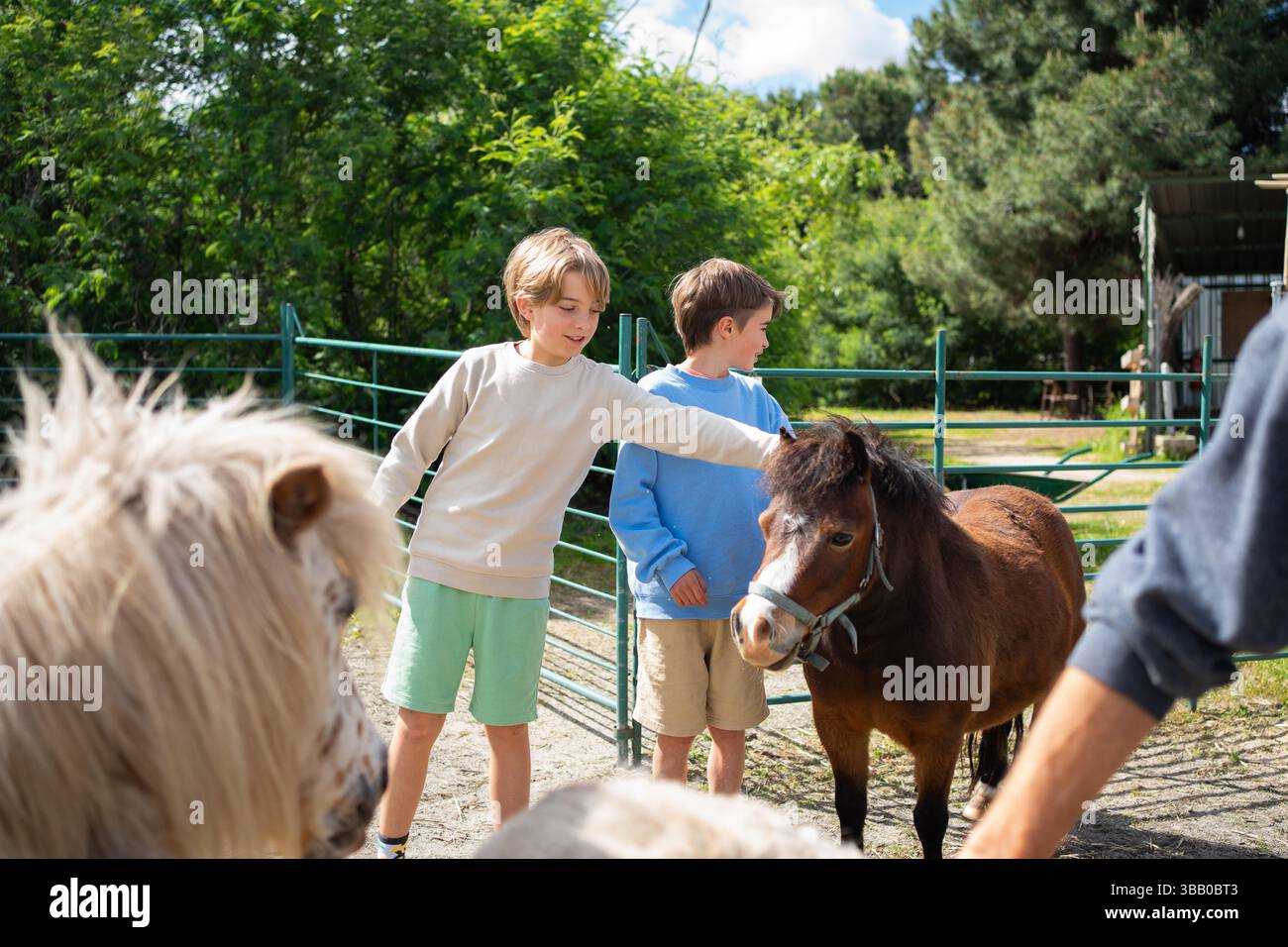 Two kids petting a pony in a fenced area of a farm on a summer day Stock Photo