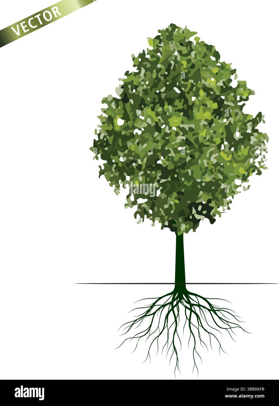 Green Tree with Roots. Stock Vector