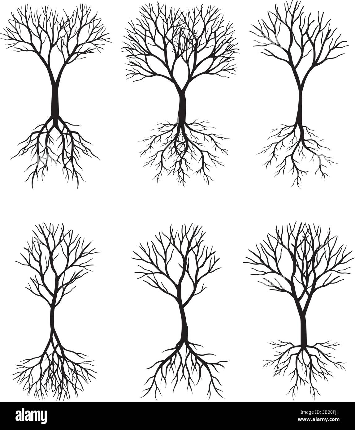 Set of black Trees. Vector outline Illustration Stock Vector Image ...