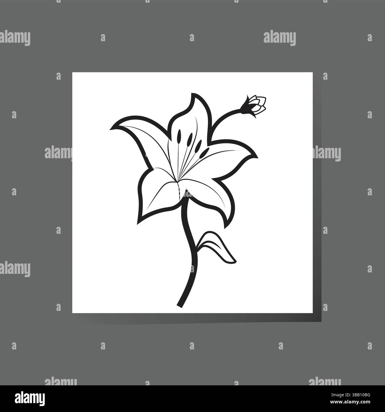 Elegant Black and White Lily Line Art Illustration Stock Vector Image ...