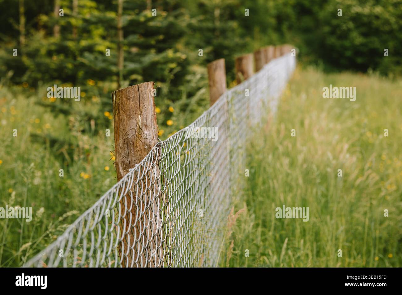 Depth of field chain link fence hi-res stock photography and images - Alamy