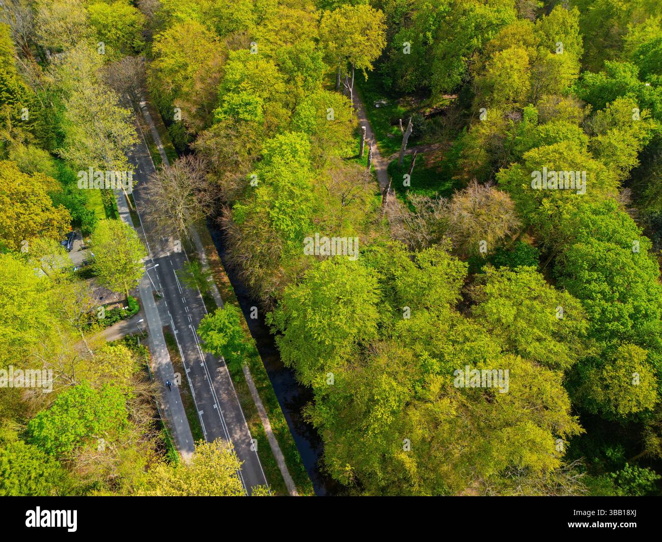 Aerial view of a lush green forest with a road cutting through it ...