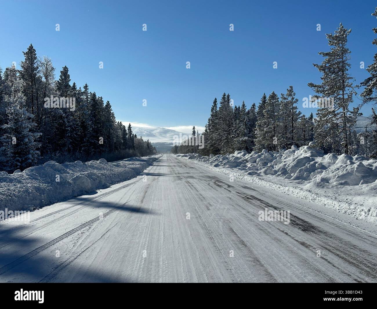 Winter scene of a snowy road with frosted trees under a bright, clear blue sky in north Sweden. - Smartphone Captured Stock Image Winter scene of a snowy road with frosted trees under a bright, clear blue sky in north Sweden. - Smartphone Captured Stock Image