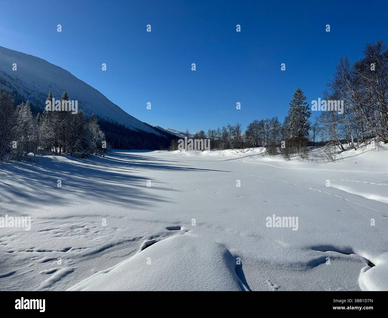 Winter landscape featuring a snowy valley with mountains and lush trees in the distance in north Sweden. - Smartphone Captured Stock Image