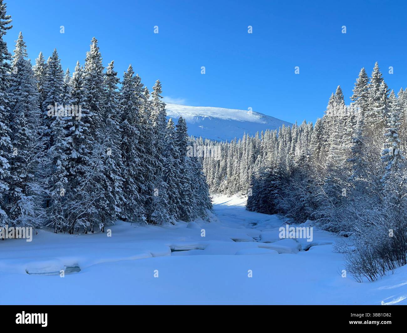Winter scene of snow-laden trees and a frozen river against a mountain in north Sweden - Smartphone Captured Stock Image