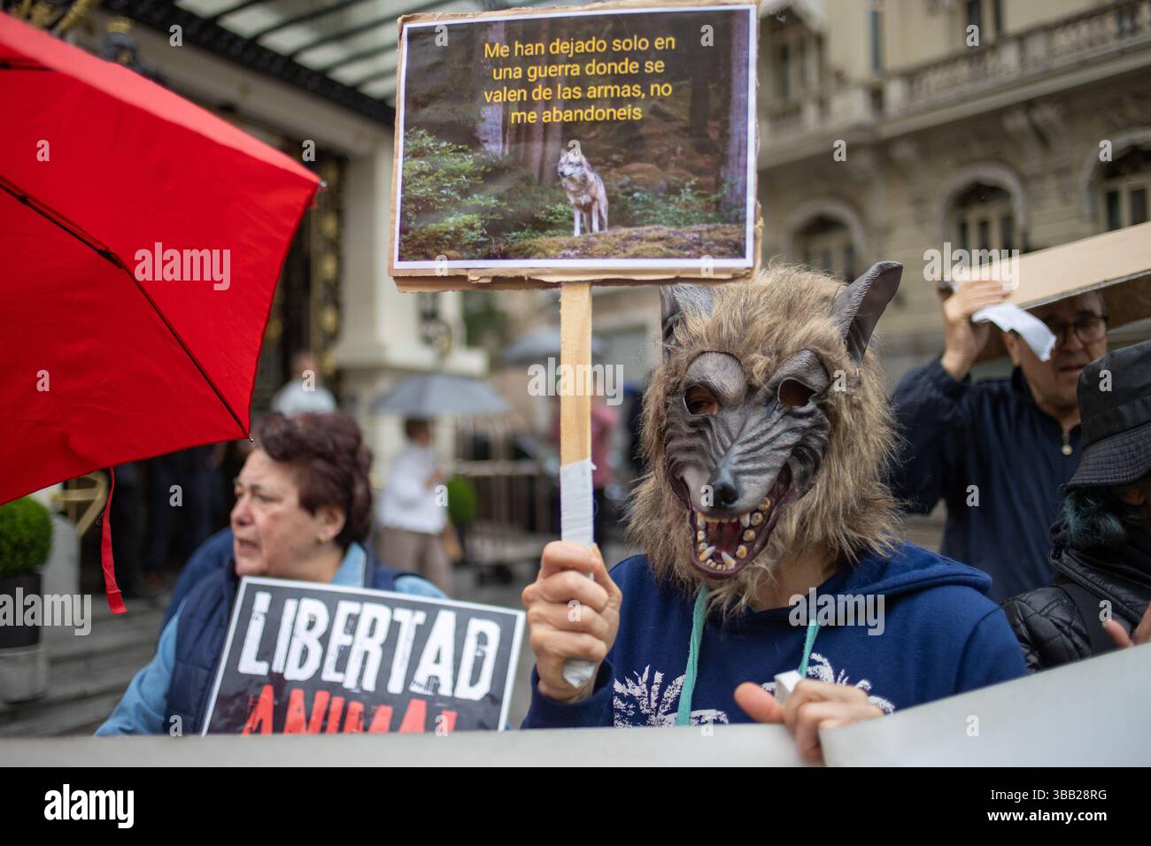 Madrid, Spain. 14th May, 2025. The animal rights party PACMA has called ...