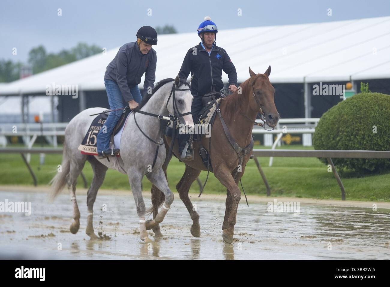 May 14, 2025; Baltimore, MD, USA; Preakness Stakes entry, Sandman