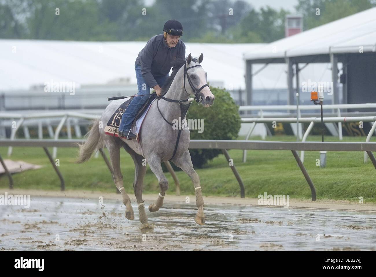 May 14, 2025; Baltimore, MD, USA; Preakness Stakes entry, Sandman Will 2025 Preakness Only Be Outside Pimlico