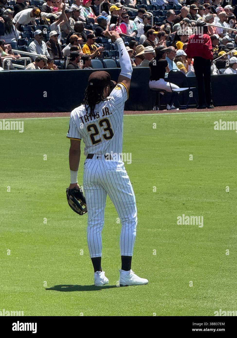 Fernando Tatis Jr. San Diego Padres - Smartphone Captured Stock Image