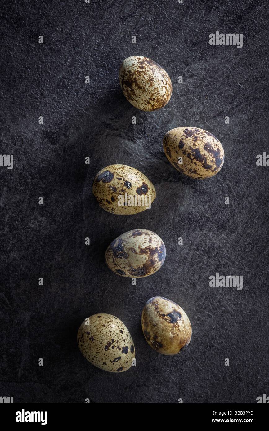 Spotted quail eggs on a black table. Top view. Stock Photo