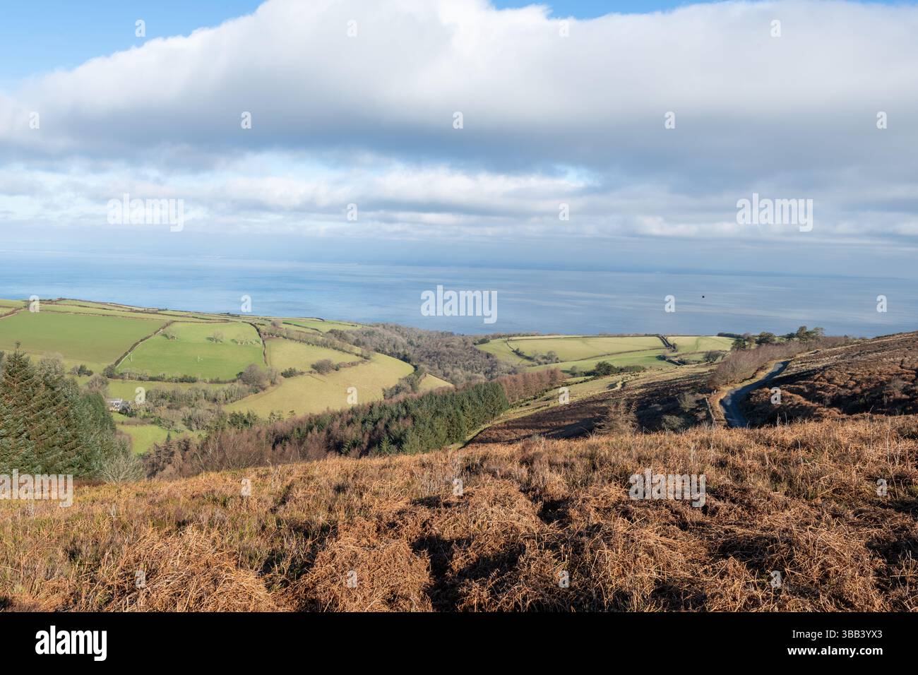 Porlock Ridge Porlock Common at the top of Porlock Hill in Exmoor National Park Stock ...
