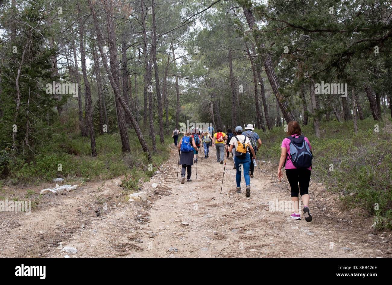 Group of hikers hiking in a nature trail. People trekking outdoors in the forest. Active healthy lifestyle. Stock Photo