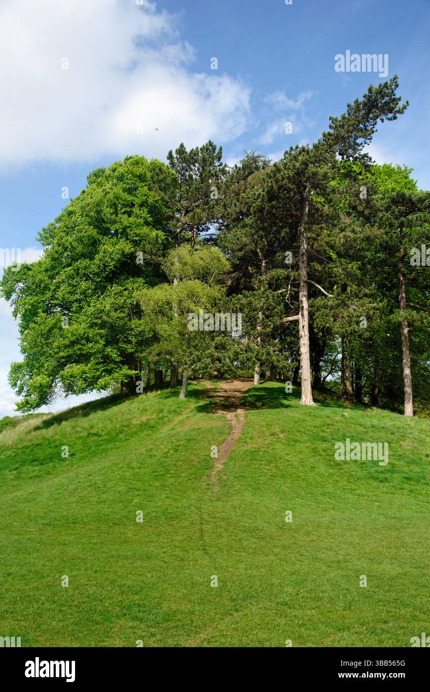 Sunny day in Public Phoenix Park in Dublin city, Ireland Stock Photo