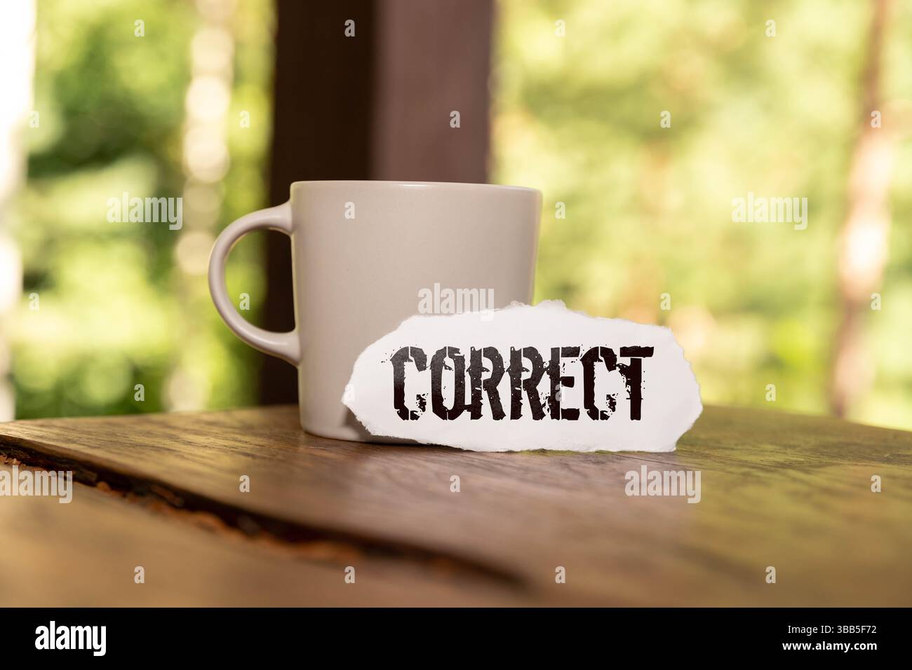 Book Script Edit And Paper Text Proofreading Stock Photo