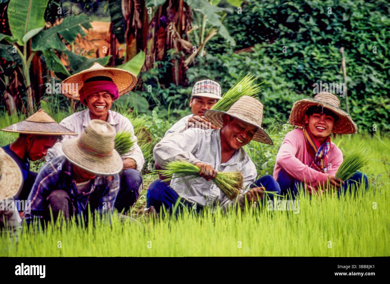 People wearing green hats hi-res stock photography and images - Alamy