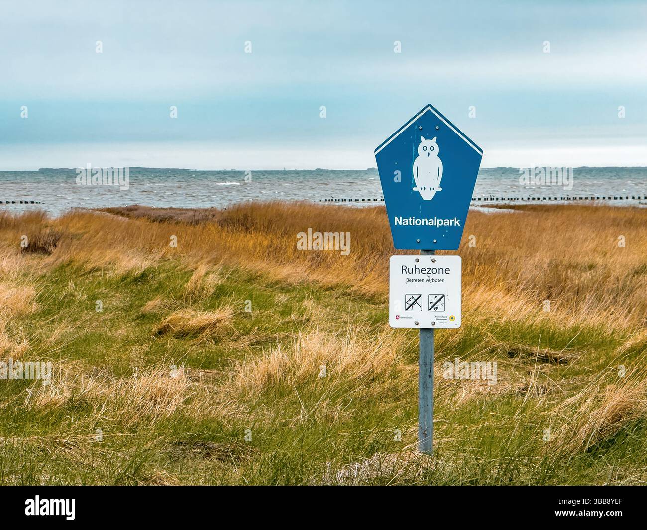 Wadden Sea National Park in Harlesiel, East Frisia, Germany. UNESCO World Heritage Site, unique intertidal ecosystem and high biodiversity. - Smartphone Captured Stock Image