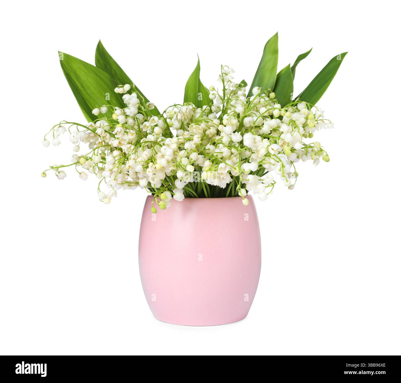 Bouquet of beautiful lily of the valley flowers isolated on white Stock ...