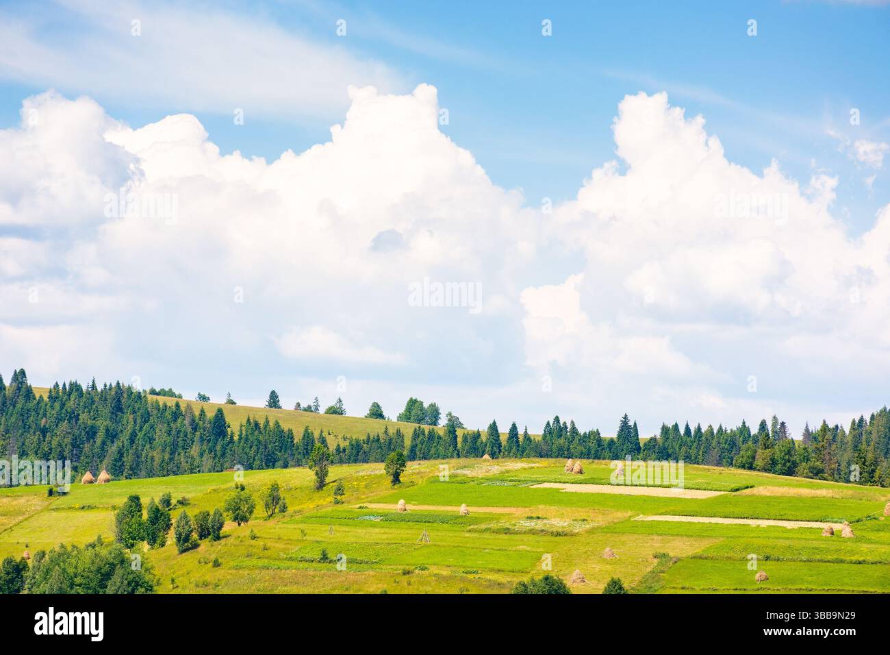 mountainous rural landscape on a sunny day. warm summer weather. countryside scenery with lush trees, grassy fields, haystack and arable on the slope Stock Photo