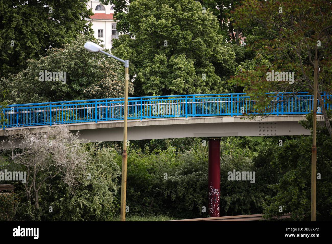 Abriss der Fußgängerbrücke am Petriförder in Magdeburg Sachsen-Anhalt ...