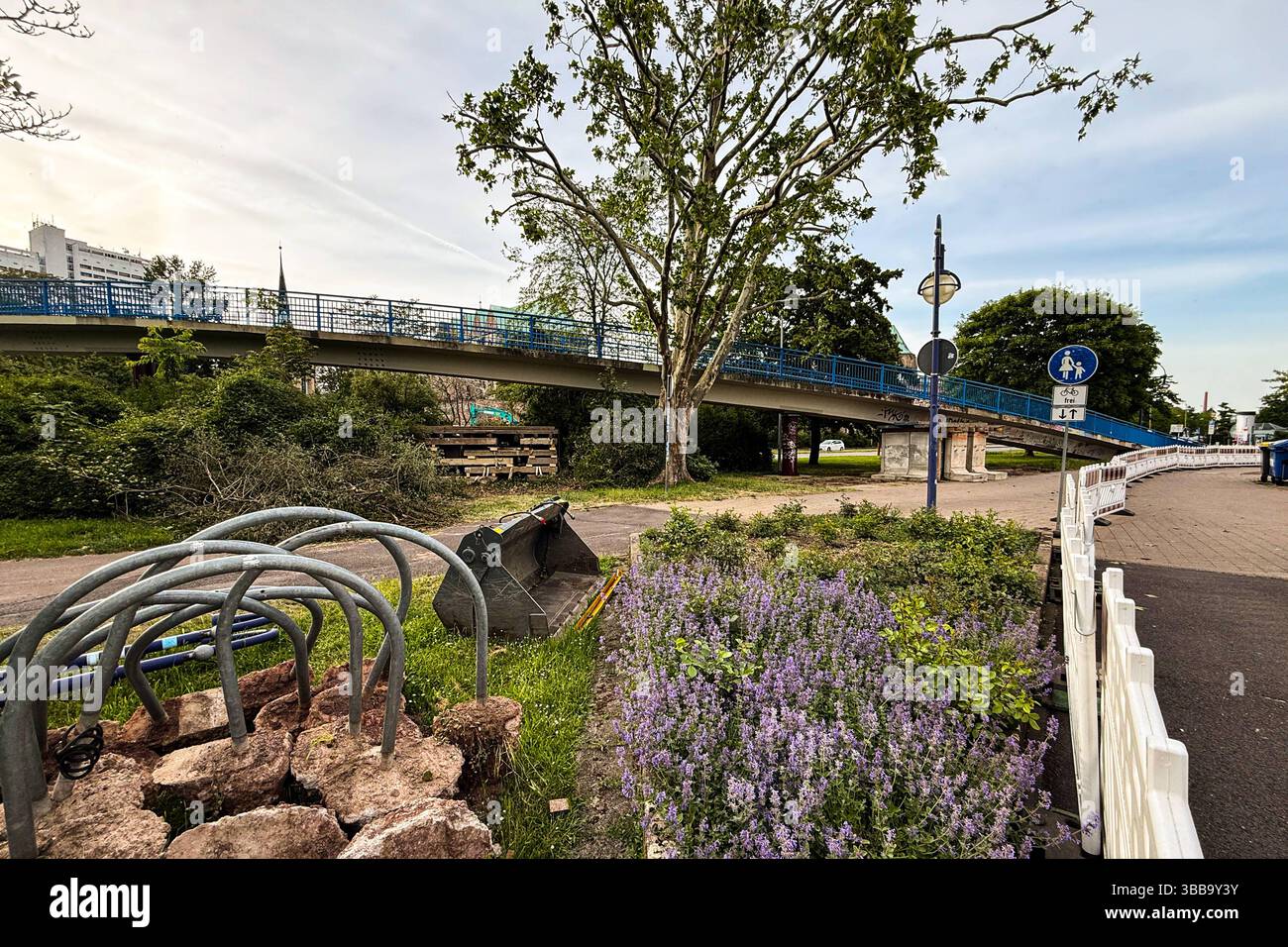 Abriss der Fußgängerbrücke am Petriförder in Magdeburg Sachsen-Anhalt ...
